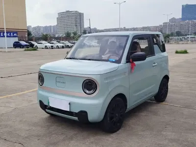 Galaxy Panda