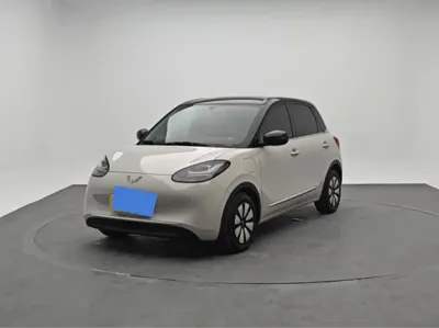 Wuling Bingo