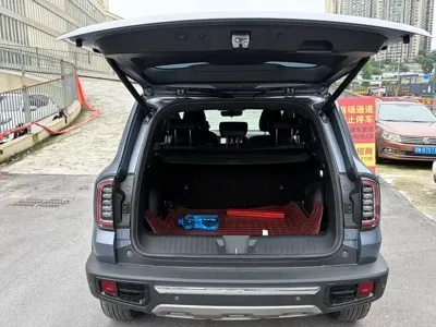 Haval Big Dog
