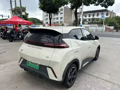 BYD Seagull
