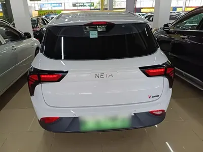NETA Neta V