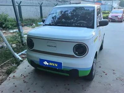 Galaxy Panda