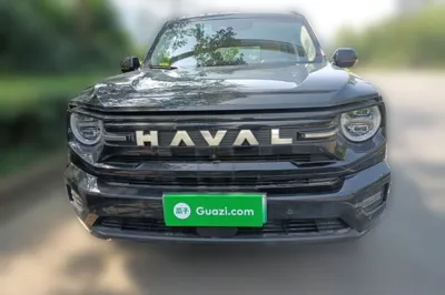 Haval H Dog New Energy