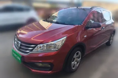 Baojun 310