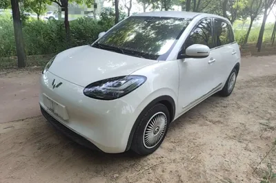 Wuling Bingo
