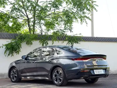 Hyundai Fista