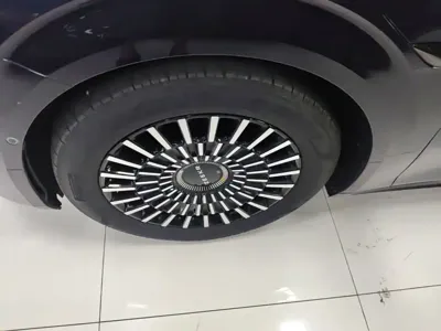 Zeekr 009