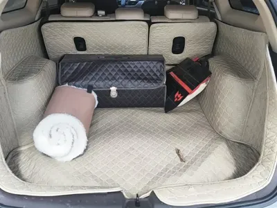 Baojun 310W