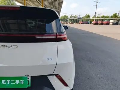 BYD Seagull