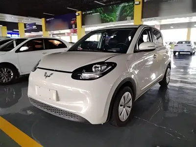 Wuling Bingo
