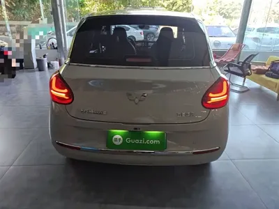 Wuling Bingo