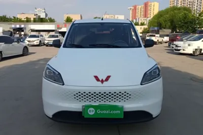 Wuling Hongguang New Energy