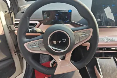 BYD Seagull