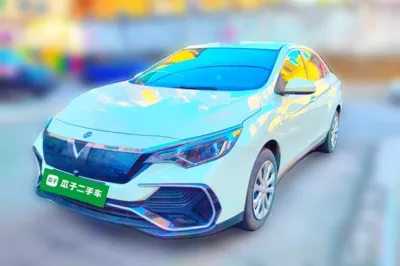 Venucia Venucia D60EV