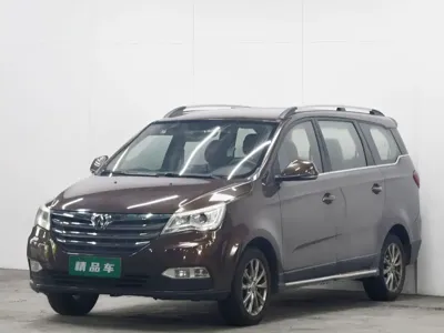 BAW Weiwang M50F