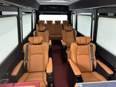 Hongqi 红旗金葵花国悦