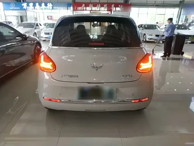 Wuling Bingo