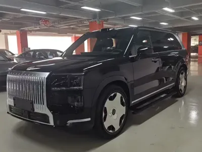 Zeekr 极氪9X