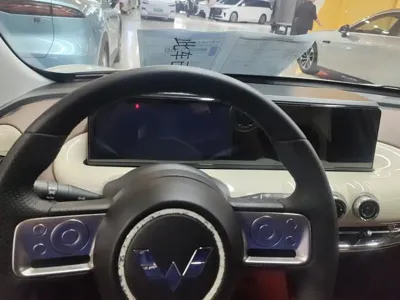 Wuling Bingo