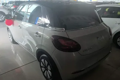 Wuling Bingo