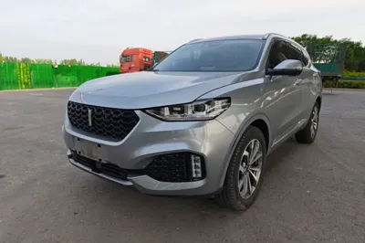 WEY VV6