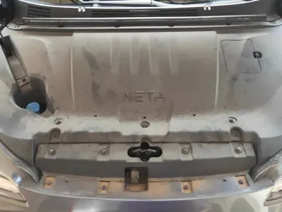 NETA Neta V