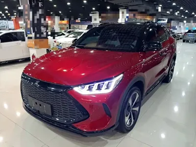 BYD PLUS New Energy