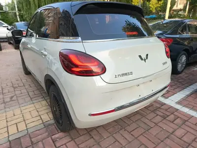 Wuling Bingo