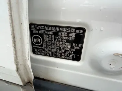 WM Motor EX5