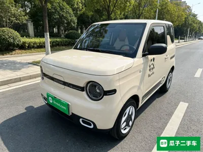 Geely Galaxy Panda