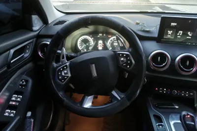 WEY VV6