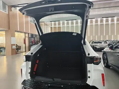 Volkswagen 06