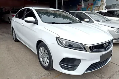 Geely Auto Binray