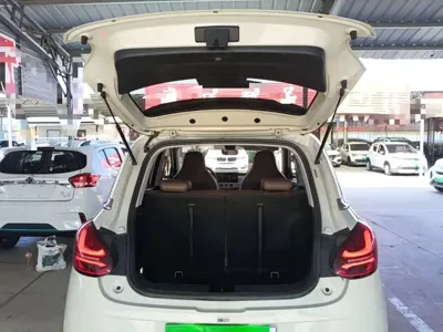 Wuling Bingo