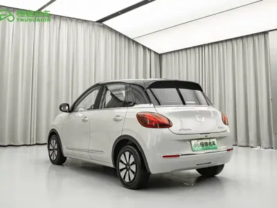 Wuling Bingo