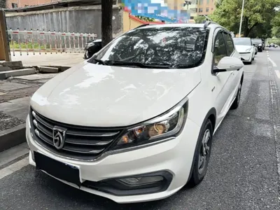Baojun 310