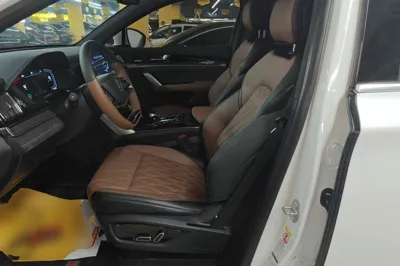 BYD Tang New Energy