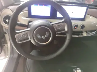 Wuling Bingo