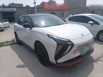 Fengxing Fengxing Leiting