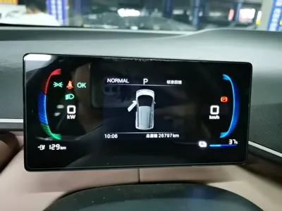 BYD Seagull
