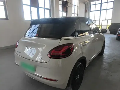 Wuling Bingo