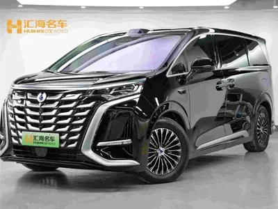 Denza Denza D9