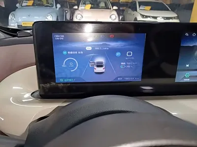 Wuling Bingo