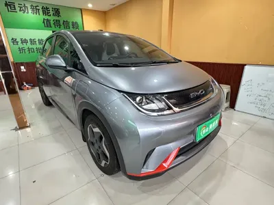 BYD Dolphin