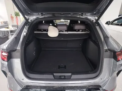 BYD Song PLUS New Energy
