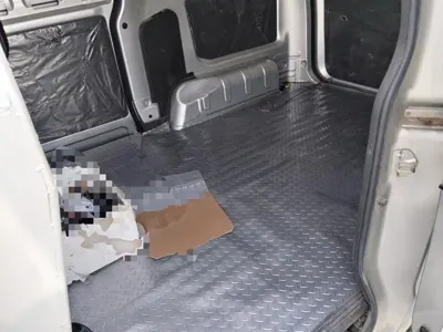 Wuling Hongguang V