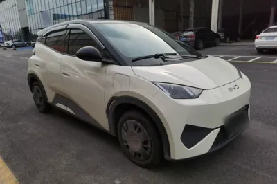 BYD Seagull