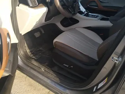 BYD Pro New Energy