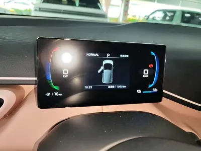 BYD Seagull