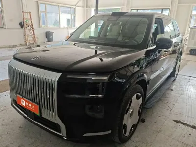 Zeekr 极氪9X